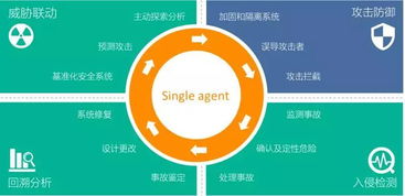 青藤获2亿元B轮融资，研发大脑扎根光谷加速网络安全技术创新